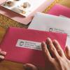imageDYMO Authentic LW White Mailing Address Labels DYMO Labels for LabelWriter Label Printers 118quot x 312quot 2 Rolls of 350 700 Total